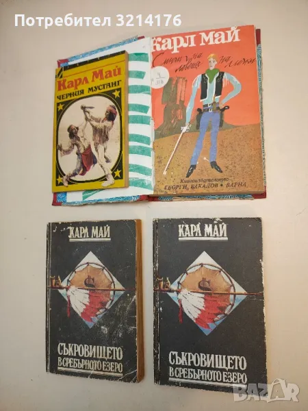 Синът на ловеца на мечки - Карл Май, снимка 1