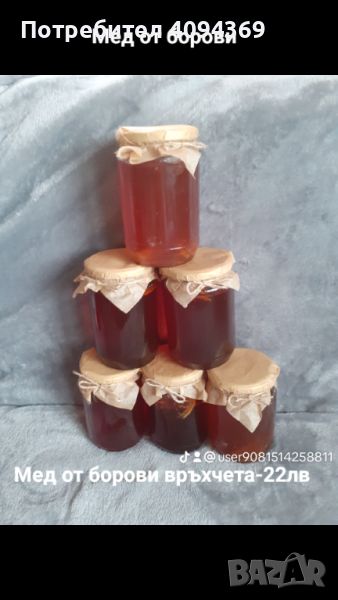 Мед от борови връхчета, снимка 1