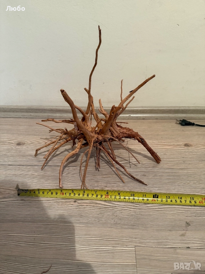 Декорация / корени от азалия, снимка 1