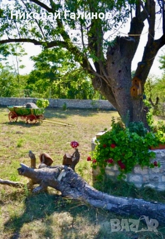 Къща за гости Господин Неновата къща, снимка 5 - Селски туризъм и култура - 51993673