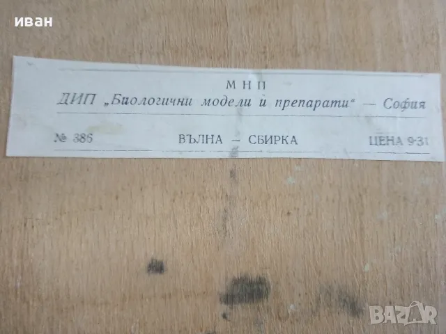 Кутия "Вълната и използването и", снимка 14 - Други ценни предмети - 47497219