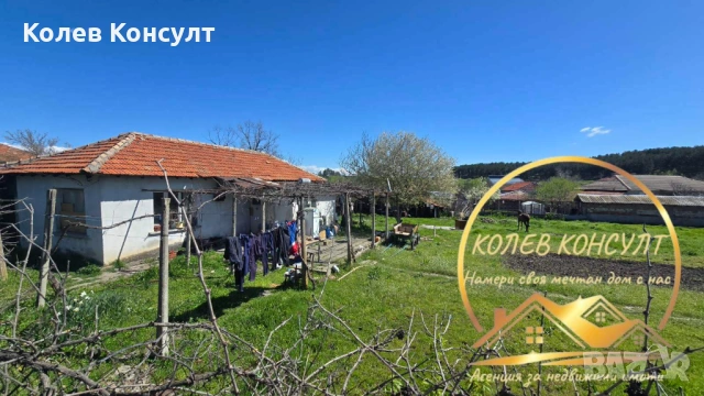 Едноетажна къща в село Бял извор, община Опан, снимка 2 - Къщи - 54189882