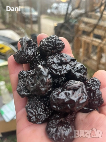 продавам сушени сливи 