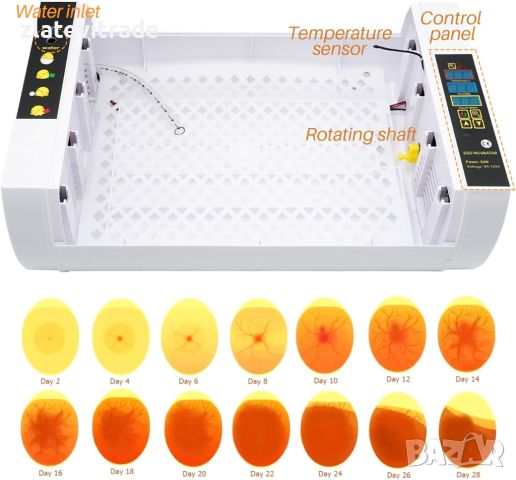 Автоматичен инкубатор 24 яйца - реф. код - 5, снимка 3 - За селскостопански - 46507286