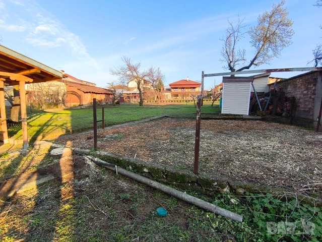 Почистване на терени / Косене на тревни площи, снимка 3 - Градински цветя и растения - 50153121