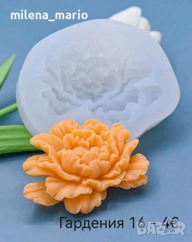 нови молдове , снимка 2 - Други - 53471728