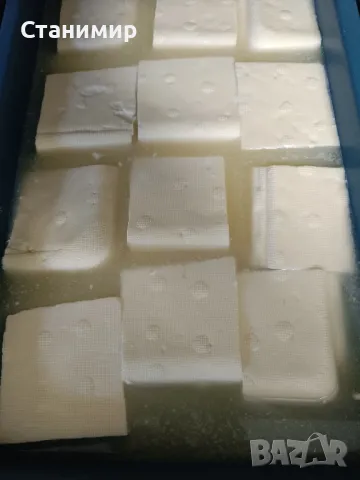 домашно овче сирене , снимка 1