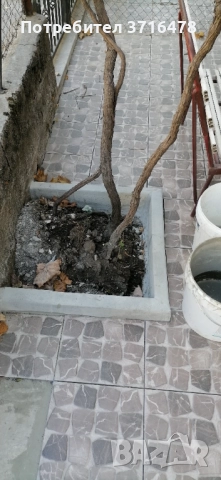 СТРОИТЕЛНИ РЕМОНТИ ТОДОРОВ, снимка 4 - Майстори - 52261231