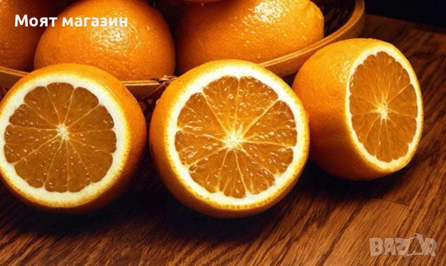 Цитрусови растения – Лимон , Портокал , Мандарина, Грейфрут ,Кумкуат , Лайм , Див лимон и Каламондин, снимка 9 - Градински цветя и растения - 53632778