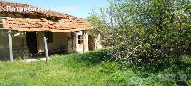 С. Цонево кирпиченa къща за основен ремонт , снимка 4 - Къщи - 46449935