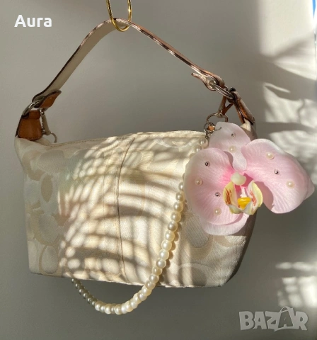 Coach Signature Small Hobo Bag