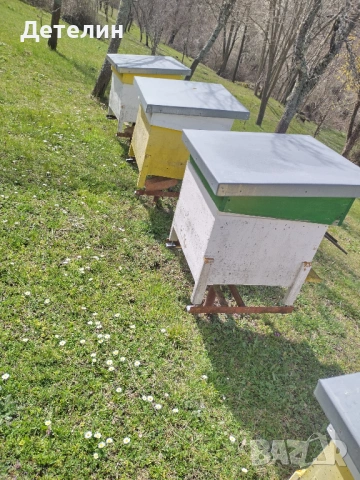 пчелни кошери Дадан-Блат 12 рамкови , снимка 8 - За пчели - 54009773