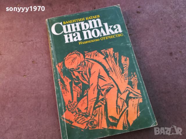 СИНЪТ НА ПОЛКА-КНИГА 0804241011, снимка 5 - Други - 45169886