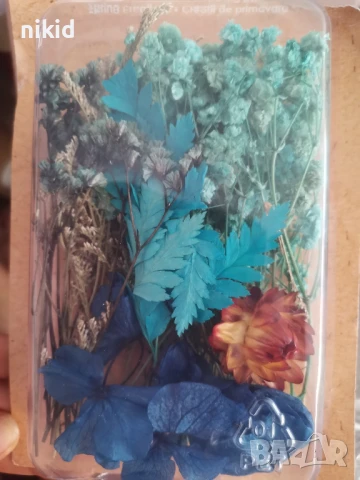 Микс сухи цветя гипсофил гипсофила в кутия за декорация натурални сапун свещи свещ смола аранжиране, снимка 16 - Изкуствени цветя - 36331627