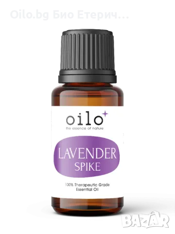 Oilo БИО Етерично Масло от Широколистна лавандула - Broad Leaf Lavender Oilo 5 мл.