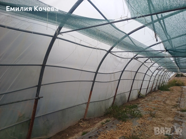 Продавам оранжерия , снимка 5 - Оранжерии - 53282195