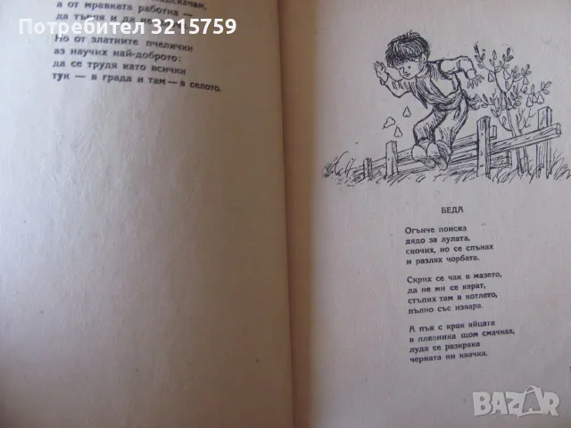 1948г. Огърлица, Калина Малина, худ. Г.Атанасов, снимка 10 - Детски книжки - 48589396