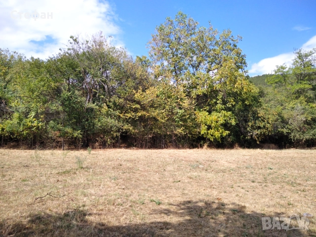 Парцел с.Мирково, снимка 4 - Парцели - 52421513