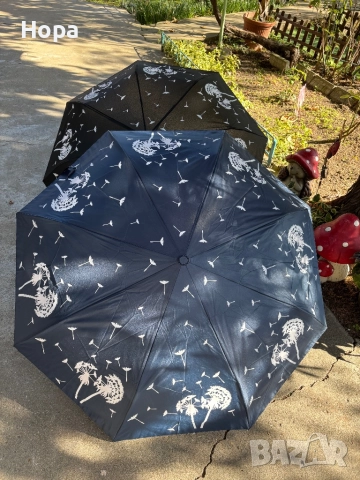 Магически чадъри с глухарчета