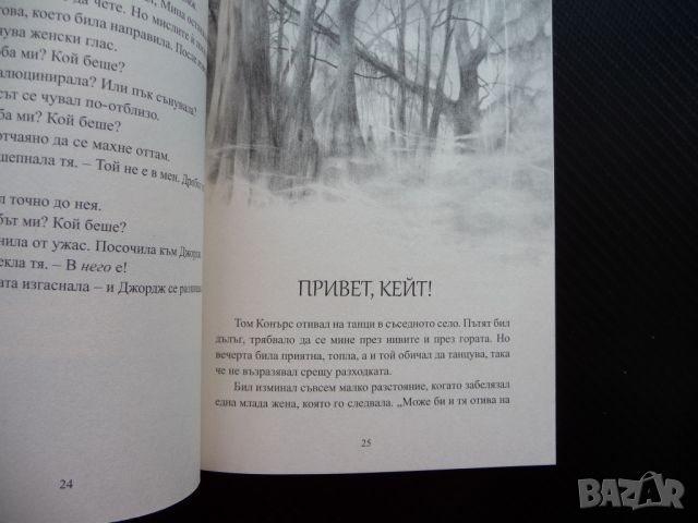 Страшни приказки за мрачни вечери. Книга 3 истории духове вещици, снимка 2 - Художествена литература - 45638838