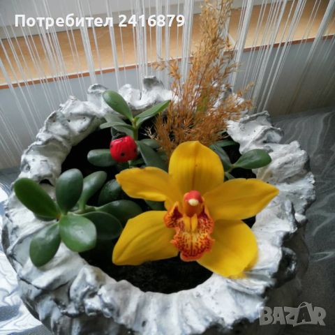 Магазин за ръчно изработени подаръци, снимка 15 - Градински цветя и растения - 45117673