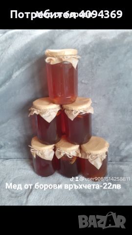 Мед от борови връхчета, снимка 1 - Домашни продукти - 45686792