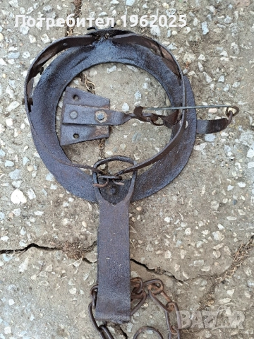 Соц Стар Ръчно Кован Капан Клюса За Животни., снимка 7 - Антикварни и старинни предмети - 51741646