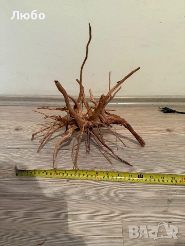 Декорация / корени от азалия