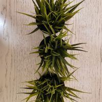 3 изкуствени  саксийни  растения, снимка 5 - Стайни растения - 45505986