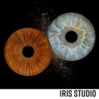 Iris Studio Varna, снимка 2 - Романтични подаръци - 45222038