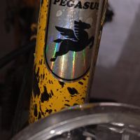 Велосипед Pegasus 26 цола, снимка 10 - Велосипеди - 46162731