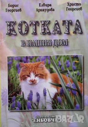 Котката в нашия дом, снимка 1