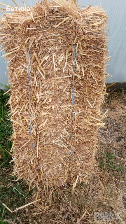 Бали от ечемик, снимка 1