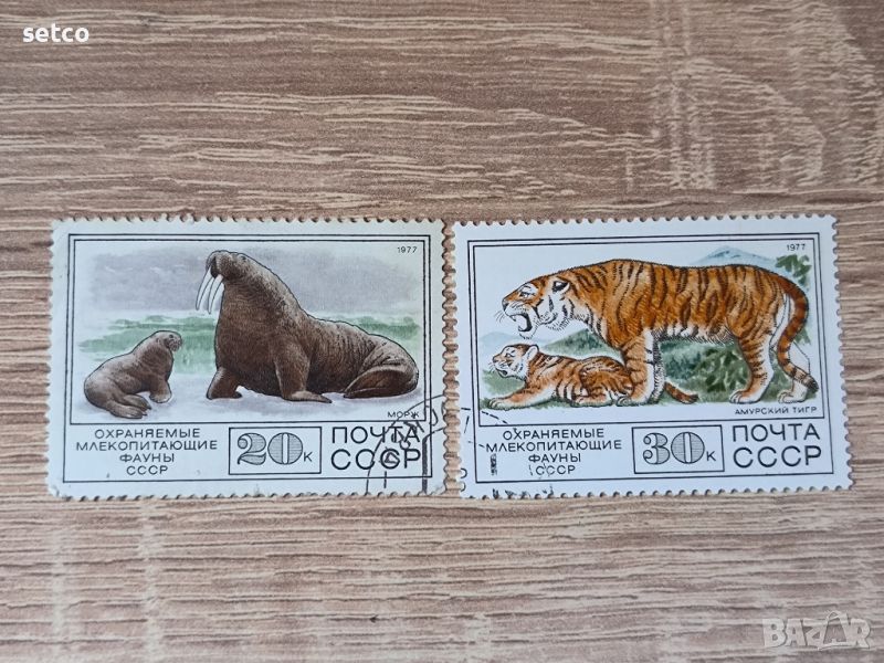 СССР Фауна защитени бозайници 1977 г., снимка 1