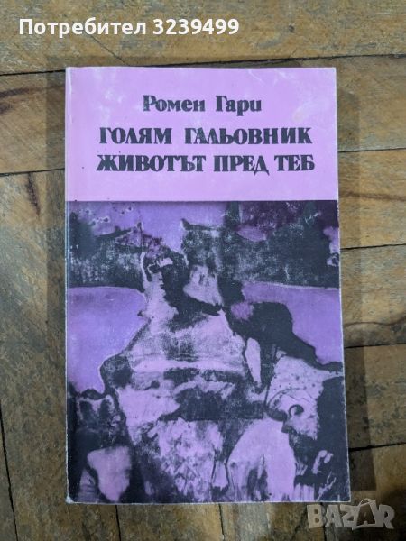 "Голям Гальовник животът пред теб" - Ромен Гари, снимка 1