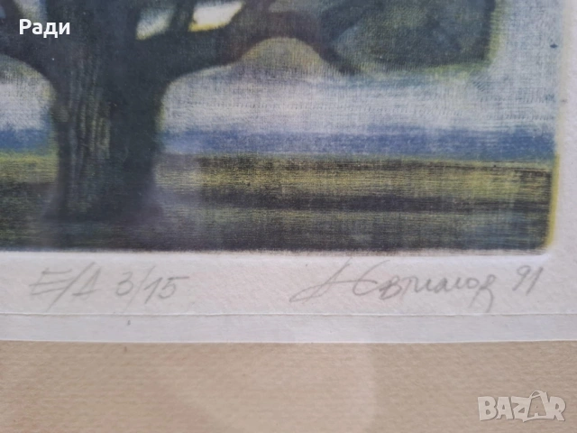 Александър Евтимов-Сашо  , снимка 2 - Картини - 53421109