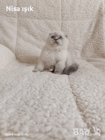 уникален подарък за вашите любими момиченце в Хасково