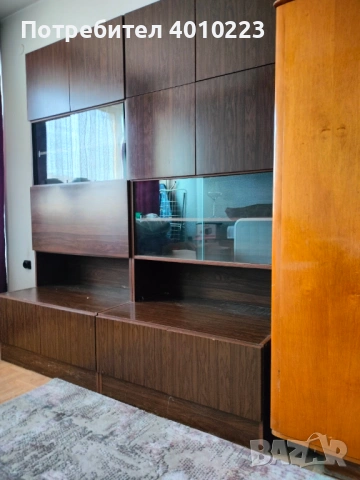 холна секция