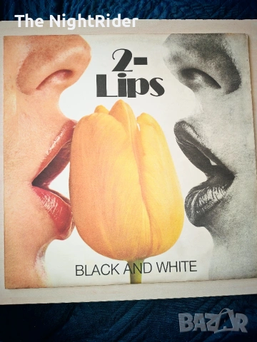 Грамофонни плочи по 5евро в перфектно състояние, снимка 10 - Грамофонни плочи - 53686712