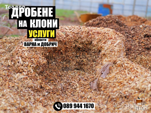 Мулчиране на гъста растителност с горски мулчер – Варна, снимка 5 - Други услуги - 53669964