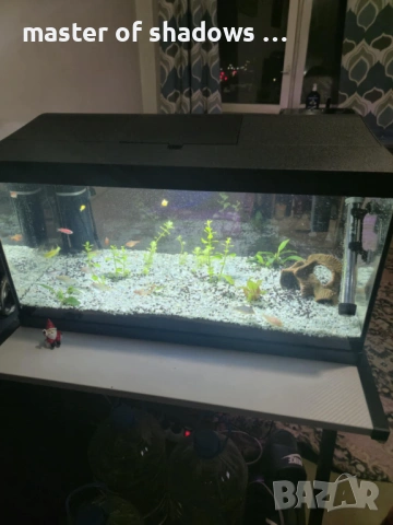 Aквариум Aquael Leddy Day&Night Plus 60 + 8 бр  ПОДАРЪК