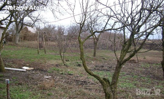 Парцел за продажба в Преспа, Добрич, снимка 7 - Парцели - 53634814