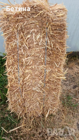 Бали от ечемик