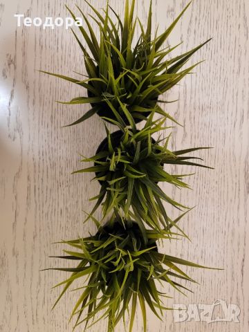 3 изкуствени  саксийни  растения, снимка 5 - Стайни растения - 45505986