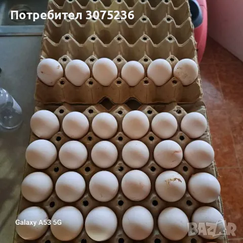 Продавам, снимка 2 - Кокошки и пуйки - 48555367