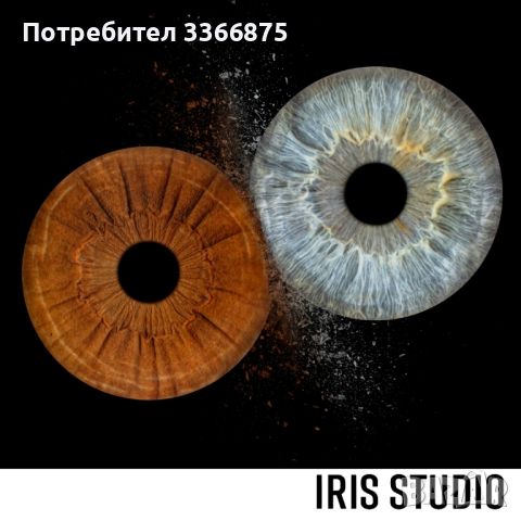 Iris Studio Plovdiv , снимка 4 - Романтични подаръци - 45221987