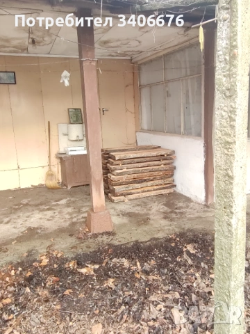 Янове от Бряст и Черница 