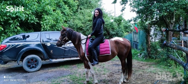 Ездитна кобила пинто Алгара, снимка 4 - Коне - 51948587