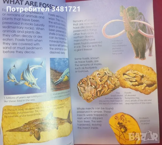 Справочник - скали и минерали / Rocks & Minerals Usborne Spotter's Guides, снимка 4 - Енциклопедии, справочници - 47236094