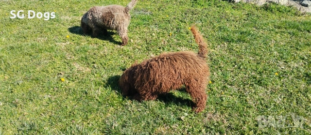 продавам лагото, снимка 18 - Други - 53779021